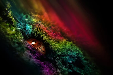 Download The Color Growth Eye Wallpaper, Color Growth Eye iPhone ...