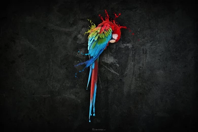 Black Color Wallpapers   Wallpapers Zone