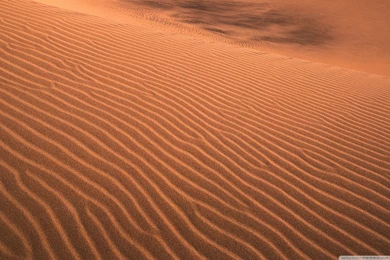 Pixars Cars Wallpapers Are Presented On The Website Wallpapers