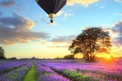 Share Very Good Samsung Galaxy S3 Wallpapers HD   Post