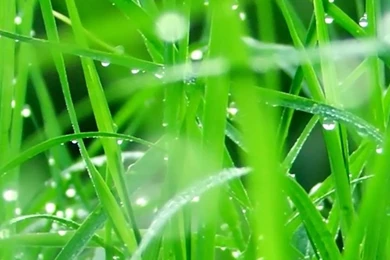 Samsung Galaxy S3 Wallpapers Http://hdwallpapers.omew.net/2012/06 ...