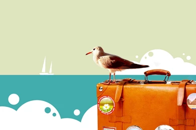 Happy Travel Hd Wallpaper Backgrounds Picture 1920x1200 Hd ...