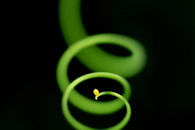 Free Moving Pictures   Widescreen HD Wallpapers