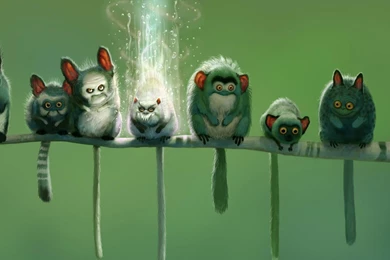 Funny Wallpapers HD   Android Apps On Google Play