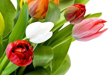 Beautiful Flower Bouquet Wallpaper Images