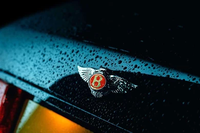 Logo & Logo Wallpapers Collection: BENTLEY LOGO WALLPAPER COLLECTION