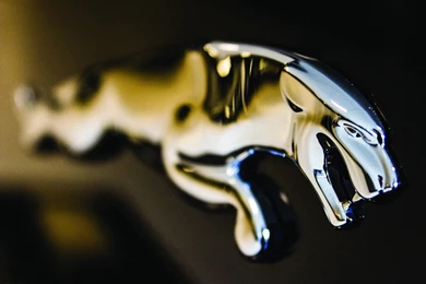 Lamborghini Logo Wallpapers Hd   Image