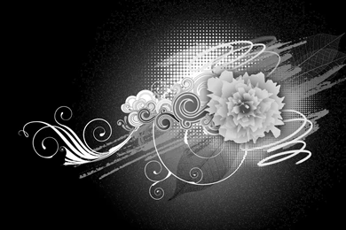 Vector & Designs Black And White Flower Vector Designs 1080p ...