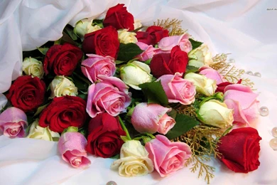 Flowers Wallpapers: Wild Flower Nature Flowers Outdoor Macro ...