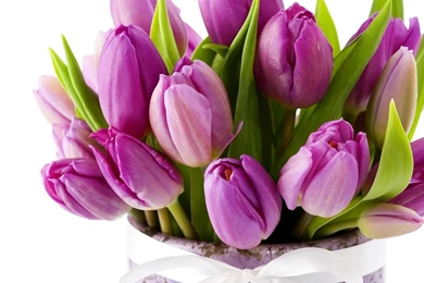 Bouquet Flowers Wallpapers HD (48)