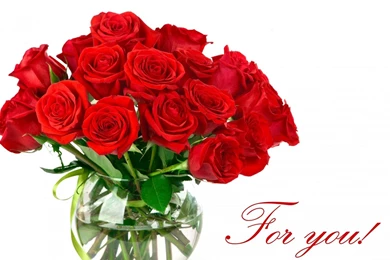 Roses Red Bouquet Flowers Wallpapers