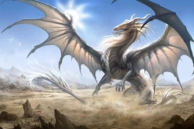 Wallpapers Dragon