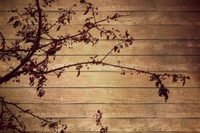 Iphone Wallpapers Subreddit