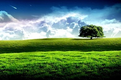 Wallpapers Hd For Desktop Full Screen Windows Xp