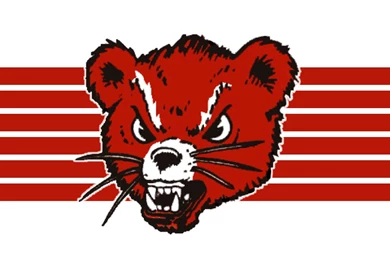 University Of Cincinnati Bearcats Hockey Est. 1974