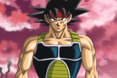 Bardock Tribute   YouTube