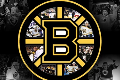 Awesome Bruins Wall