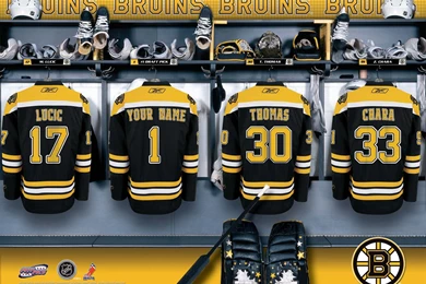 Boston Bruins Wallpapers High Definition HD   Fullwidehd.com