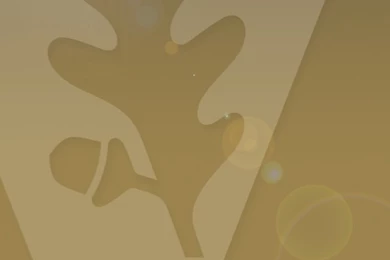 Interactive, Web And Design   VUMC iPhone And iPad Wallpapers