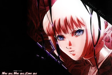 Clare   Claymore Anime And Mangá Wallpapers (33480945)   Fanpop