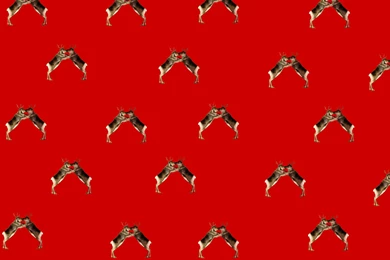 Download Conan's Wrapping Paper Wallpapers Papers @ TeamCoco.com