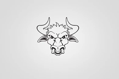 Bull Wallpapers For PC