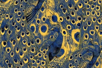 Flag Pure Paper, Gold Bordered Peacock 3d Wallpapers Blue Wallpapers ...