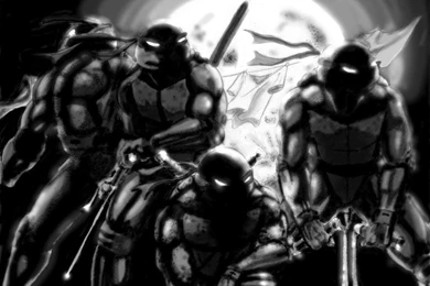 Tmnt Wallpapers   WallpaperFav.com