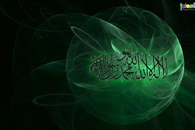 Wallpapers For Desktop