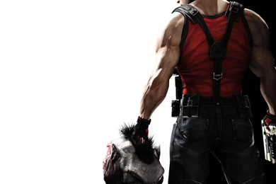 Trololo Blogg: Duke Wallpapers For Android