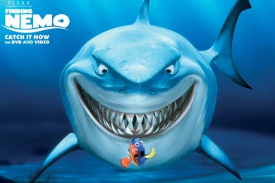 Finding Nemo Wallpapers And Images   Wallpapers, Pictures, Photos