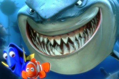 Beautiful Nemo Fish Wallpapers ~ WALLPAPERS