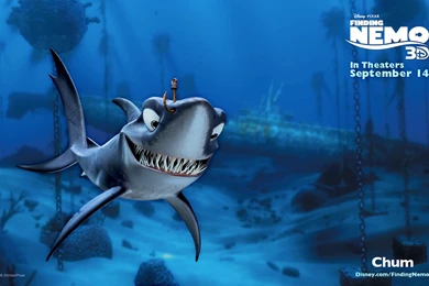 Chum Finding Nemo 3D HD Wallpapers