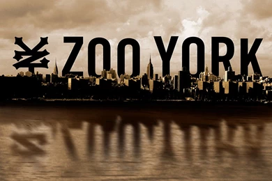 Zoo York Wallpapers
