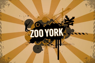 Zooyork DeviantArt