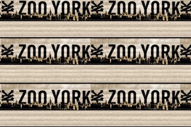 Zoo York iPhone Wallpapers
