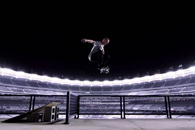 ZOO YORK TAKES YANKEE STADIUM YouTube