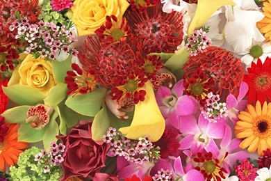 Bouquet Flowers Wallpapers HD