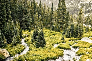 Rocky Mountain Overcast iPad Air Wallpapers Download