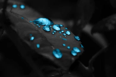 Blue Raindrops Wallpapers 2560x1600   (
