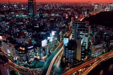 Wallpapers Swimming Tokyo World 1366x768