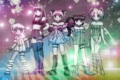 Smyrucustran: Tokyo Mew Mew Wallpapers