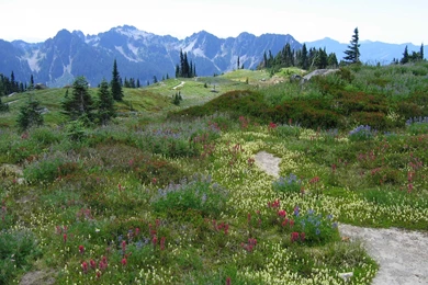 Landscape Wonderful Nature Quality Mountain Backgrounds Picture ...