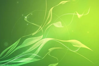 200+ Best Apple iPad HD Wallpapers