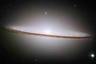 Os Lion Hd Wallpapers