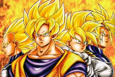 Wallpapers Gotenks Dragon Ball Z Hd Widescreen Anime 800x600 ...