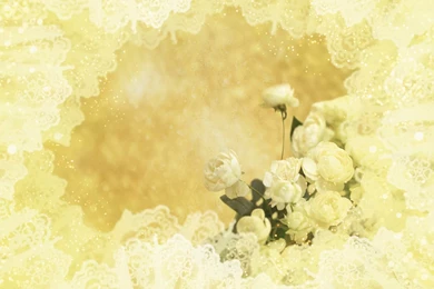 Free Wallpaper Backgrounds Flowers – 1600×1200 High Definition ...