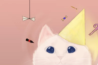 Light Pink Cats Party Presents Birthday Drun Handmade Wallpapers ...