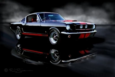 Mustang Images Collection (44+)