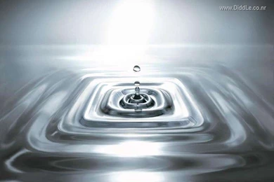 Funny Wallpapers hd Wallpapers Desktop Wallpapers: Innovative ...